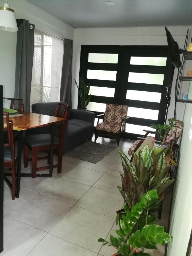Tamandua -Home Feeling- La Fortuna Bagian luar foto